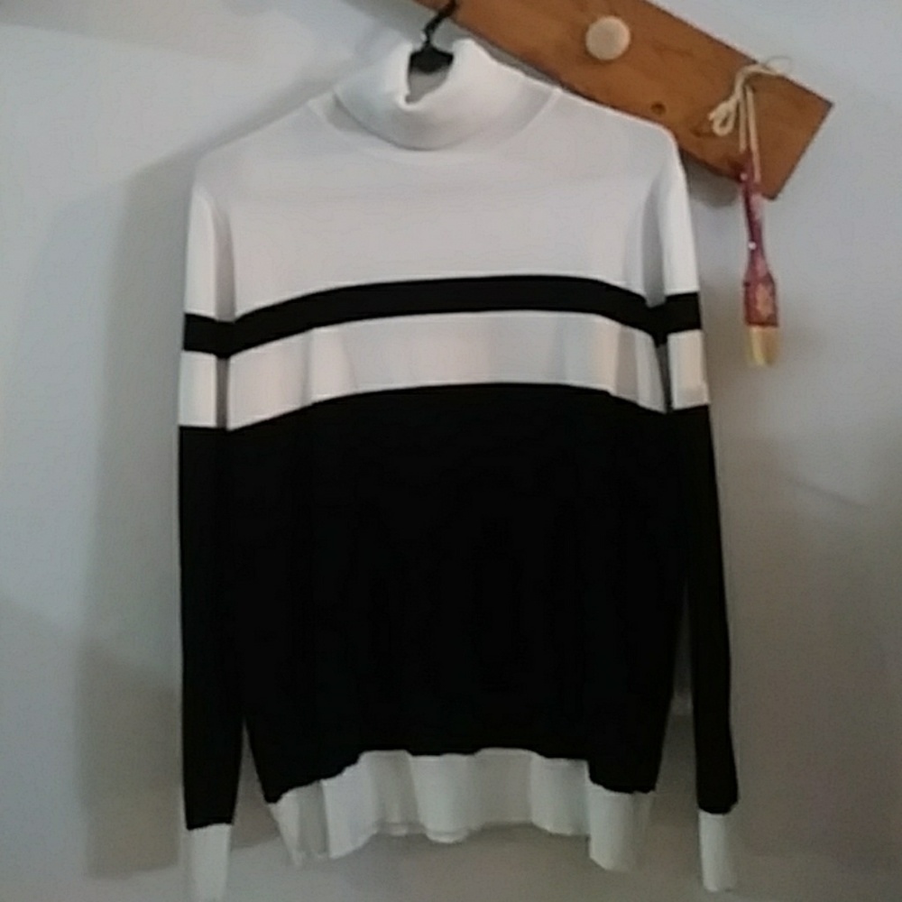Vintage Stripped Turtle Neck Sweater
